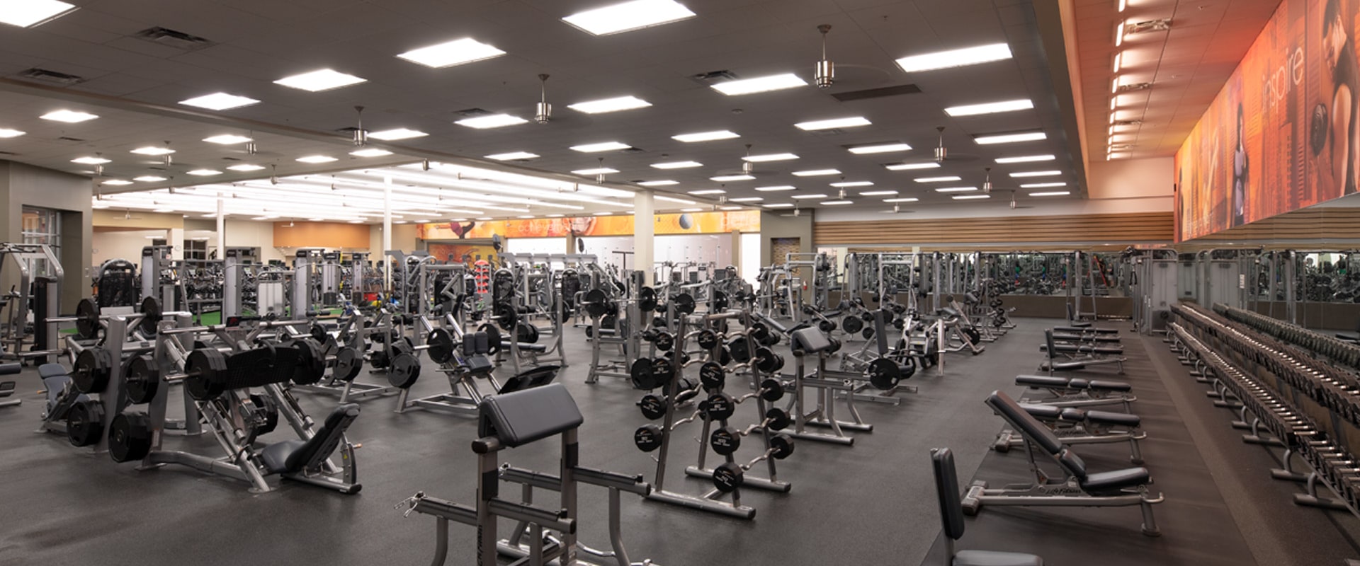 What is the Average Age Range of Gym-Goers in Katy, Texas?